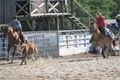 IMG_0031