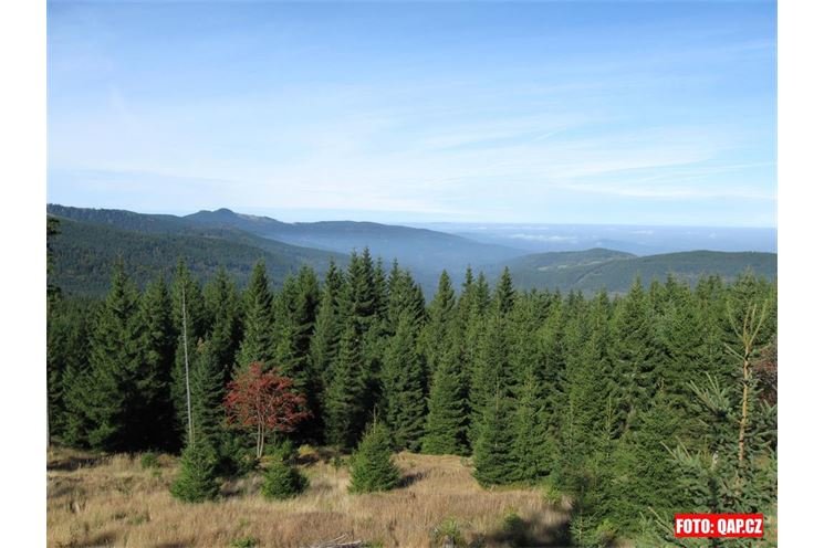 Podzimní Šumava. Podzimní Šumava.