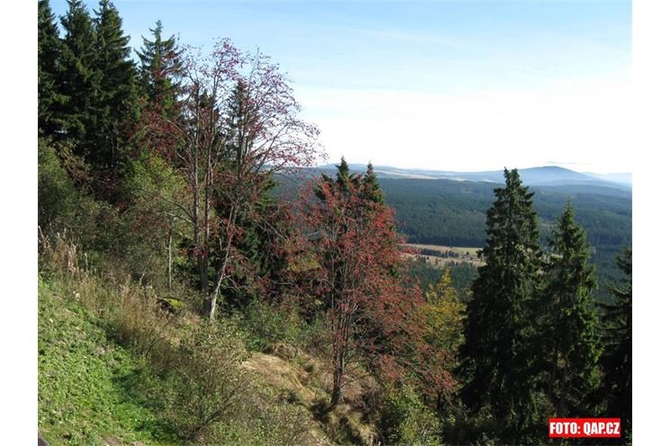 Podzimní Šumava. Podzimní Šumava.