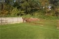 DSC04805