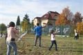 Drakiáda v Plzni na Borech.