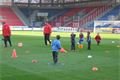 Závěrečný trénink v DOOSAN Aréně v projektu Pojďme sportovat s Viktorkou.