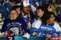 hokej_plzen_sparta (4)