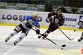 hokej_plzen_sparta (11)