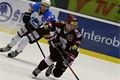 hokej_plzen_sparta (27)