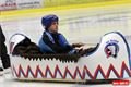 hokej_plzen_sparta (29)