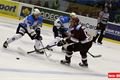 hokej_plzen_sparta (37)