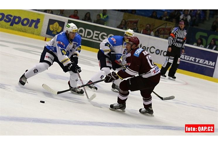 hokej_plzen_sparta (37) hokej_plzen_sparta (37)