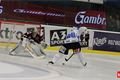 hokej_plzen_sparta (51)