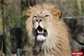 ZOO_Plzen_28_rijen (7)