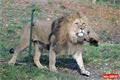 ZOO_Plzen_28_rijen (9)