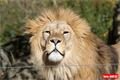 ZOO_Plzen_28_rijen (10)