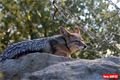 ZOO_Plzen_28_rijen (14)