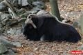 ZOO_Plzen_28_rijen (22)