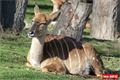 ZOO_Plzen_28_rijen (29)