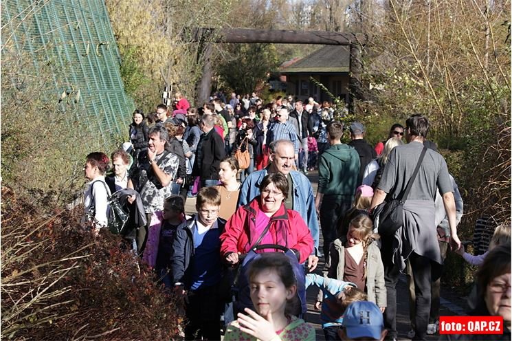 ZOO_Plzen_28_rijen (34)