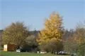 DSC05069