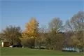 DSC05071
