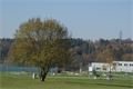 DSC05090
