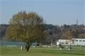 DSC05090