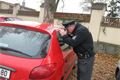  "Tady je to v pořádku, jen pejsek a jabka," kontorluje interiér zaparkovaného auta jeden z policistů.