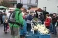 DSC05309