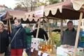 DSC05329