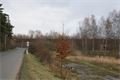 DSC05402