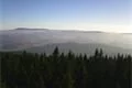 Javorník, www.sumavanet.cz