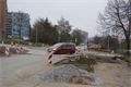 DSC05487