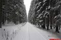 železnorudsko_prvni adventni vikend (2)