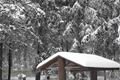 železnorudsko_prvni adventni vikend (7)