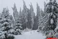 železnorudsko_prvni adventni vikend (8)