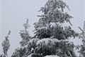 železnorudsko_prvni adventni vikend (9)