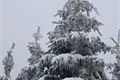 železnorudsko_prvni adventni vikend (9)