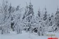 železnorudsko_prvni adventni vikend (11)