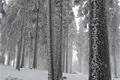 železnorudsko_prvni adventni vikend (12)