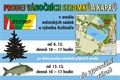 Prodej u městských sádek. Leták MMP. 