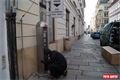 Po odstranění starého automatu přijde na řadu budování nových základů a teprve potom se postaví nový automat. Zhruba po dvou dnech. 