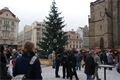 DSC05900