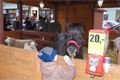 DSC05903