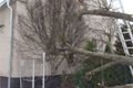 6.12.2013 Strom na RD Bojanovice