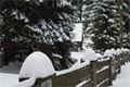 Šumava se před prvním lyžařským víkendem dočkala pořádného přídělu sněhu.