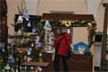 DSC06561