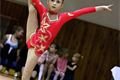 gymnastika sokol plzen4_vanocni besidka (18)
