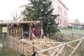 DSC06691