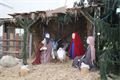 DSC06719