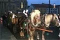 DSC07016