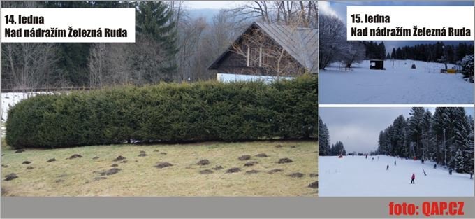 šumava