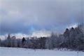 Samoty 15.1._2